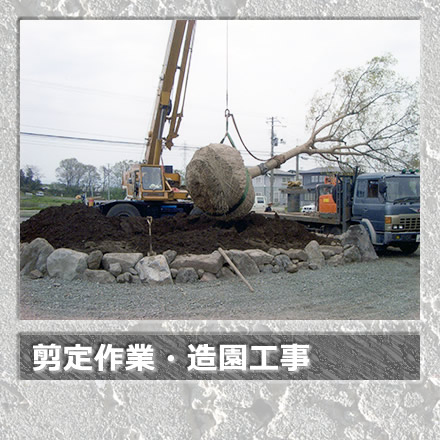 剪定作業・造園工事