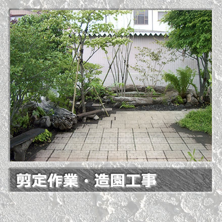 剪定作業・造園工事