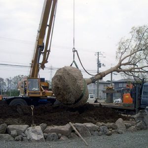 造園作業施工例